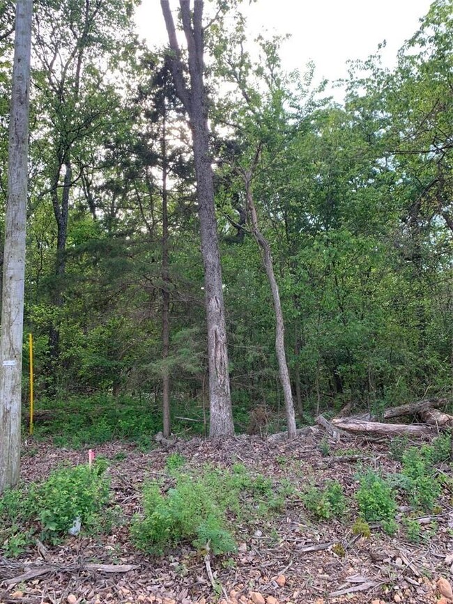 0 Jaybird Rd unit 1184110, Maysville, AR 72747 - photo 6