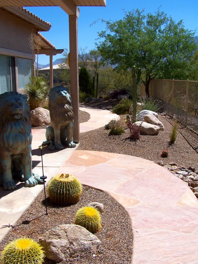 Side Yard leading to Pool.