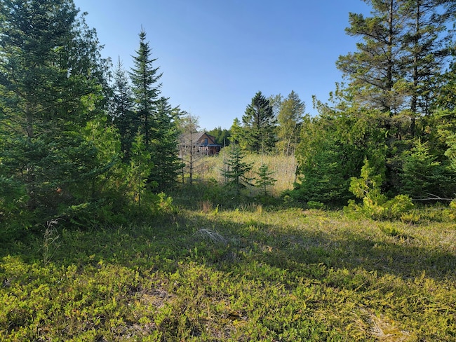 0 W Us 2 Unit 9.31 acres 201824111, St. Ignace, MI 49781 | MLS ...