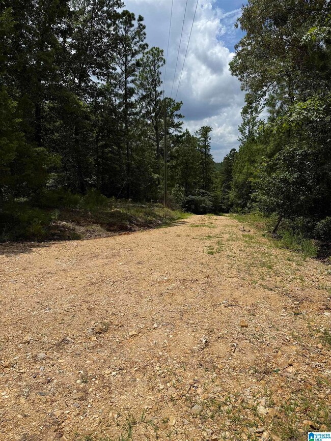 2718 Old Woodstock Rd, West Blocton, AL 35184 - photo 5
