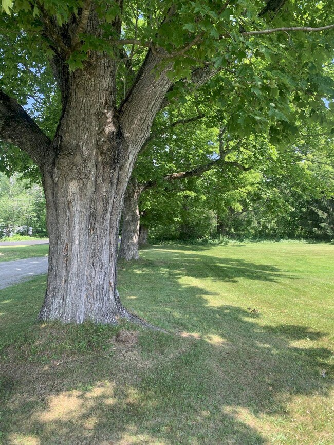 M2 L16-3 Notch Rd, Skowhegan, ME 04976 - photo 5