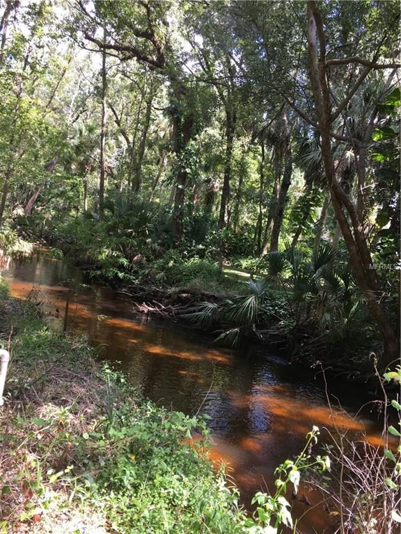creek flowing to Lake Howell
