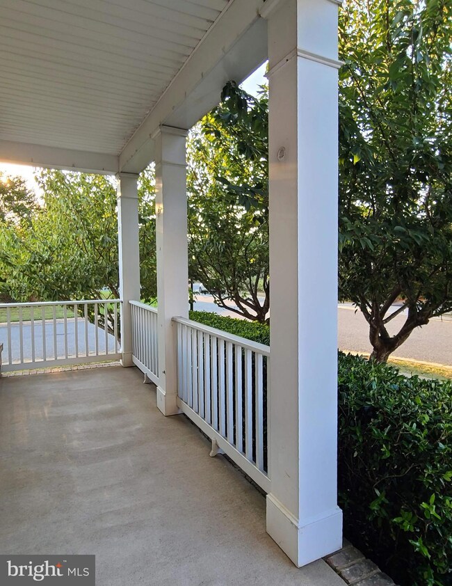 1010 Austin Dr, Fredericksburg, VA 22401 - photo 4