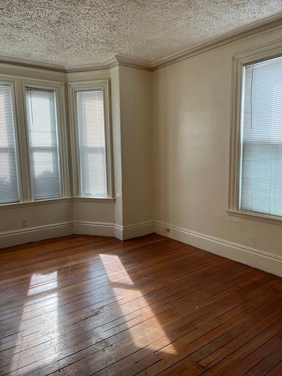19 Olney St unit 1, Dorchester, MA 02121 - photo 3