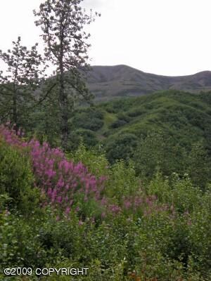 Cache Creek Recreational Subdivision