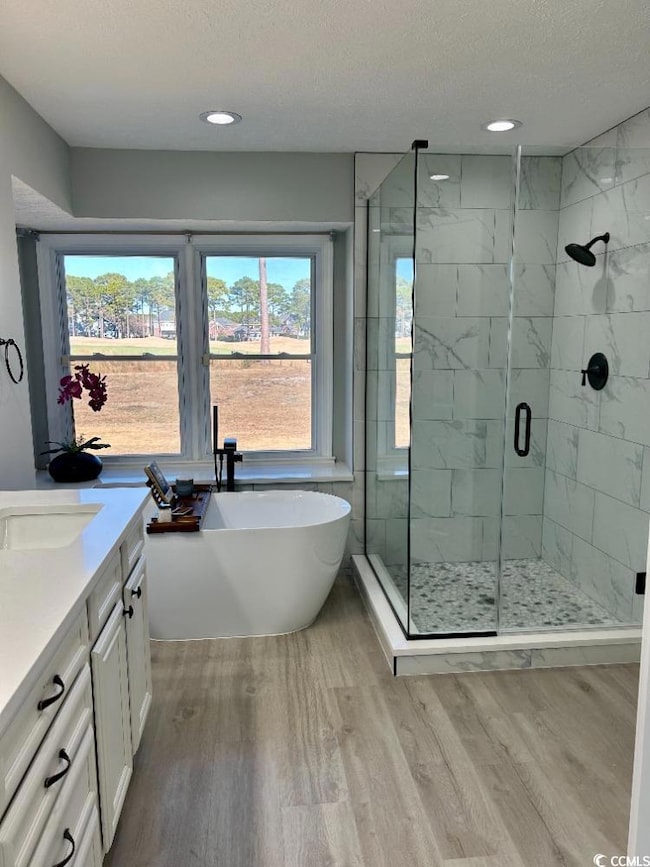 Bathroom with wood-type flooring, vanity, a textur