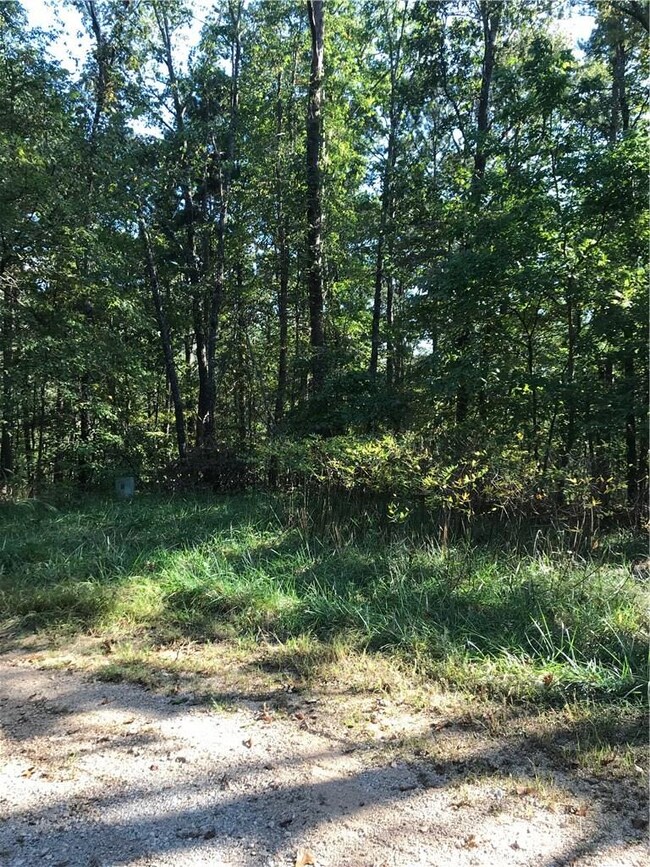 0 Burghley Ln unit 1129754, Bella Vista, AR 72714 - photo 4