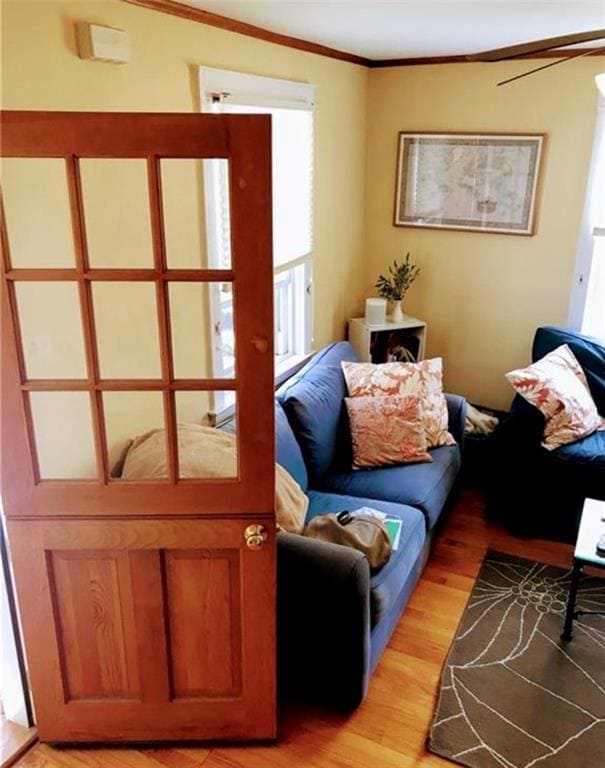 81 Old Fort Rd, Newport, RI 02840 - photo 5