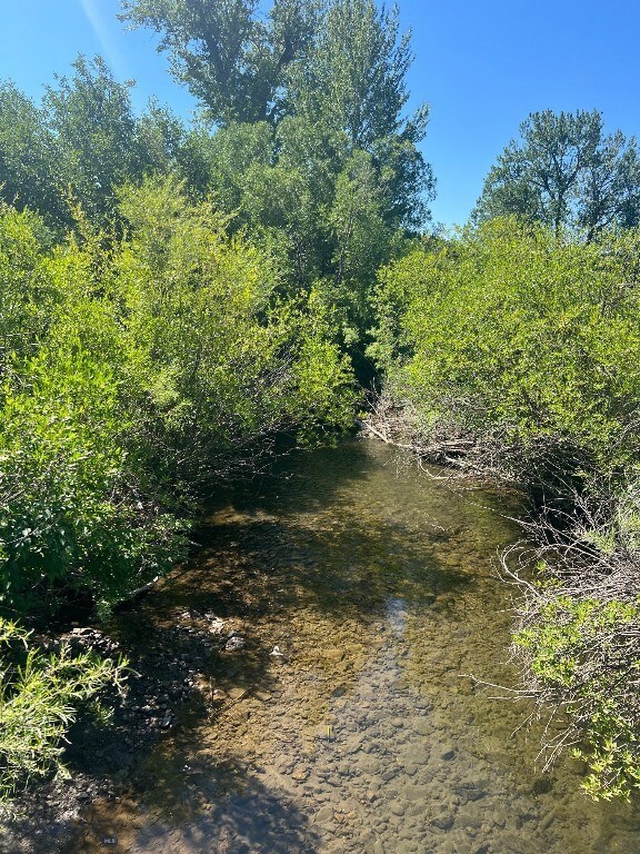 Bridger Creek