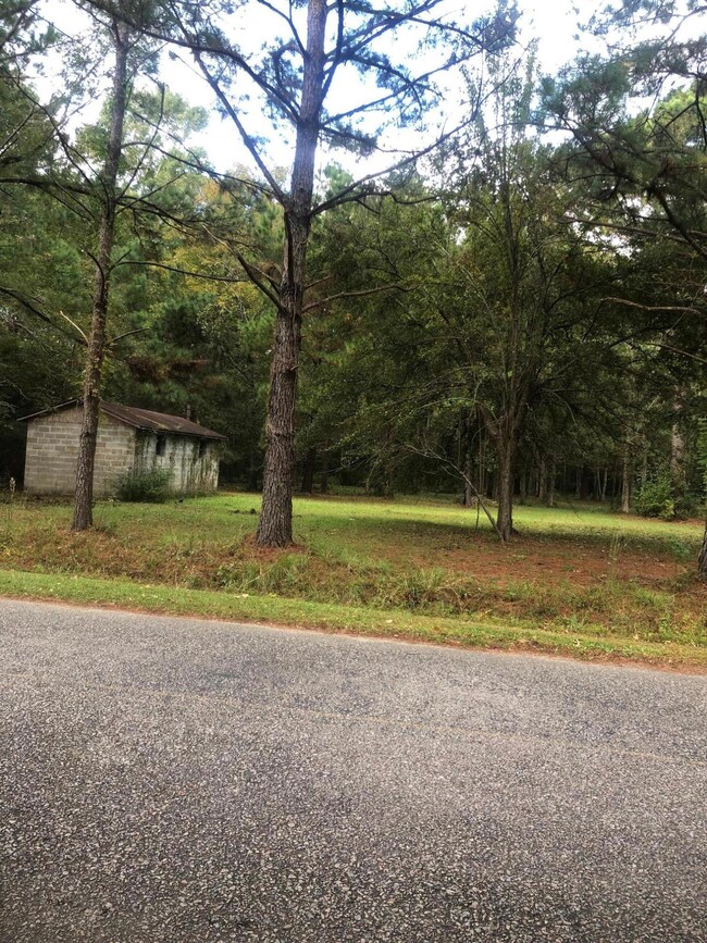 0 Pritcha Green Rd unit 18030070, Mount Pleasant, SC 29429 - photo 3