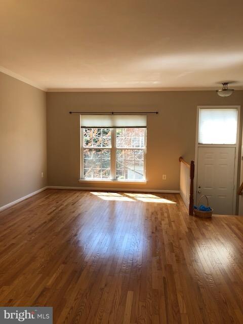 6003 Madison Overlook Ct, Falls Church, VA 22041 - photo 3