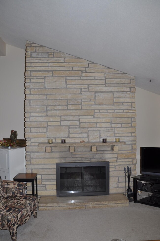 Wood Burning Fireplace