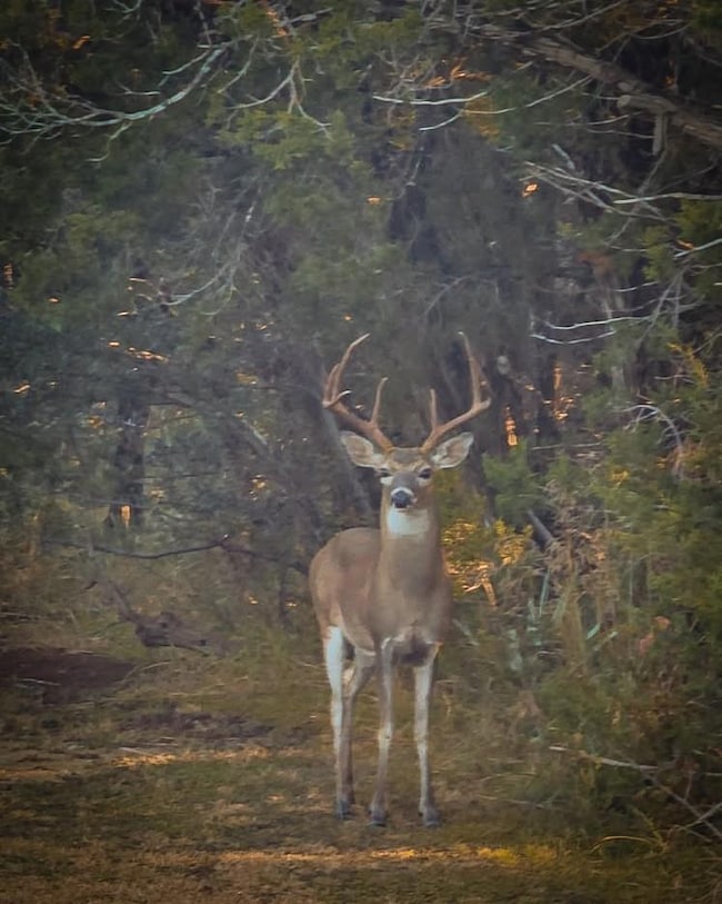 0 Fm 2484 unit ACT4301770, Killeen, TX 76542 - photo 6