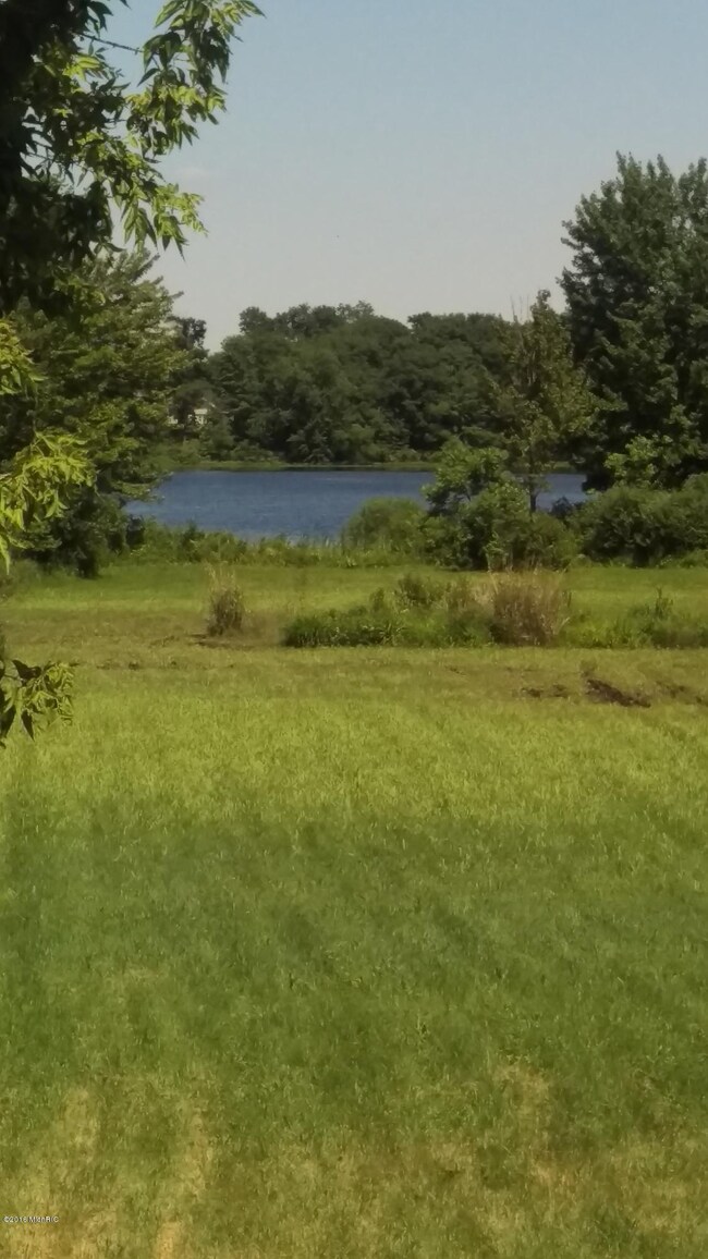 IMAG0934