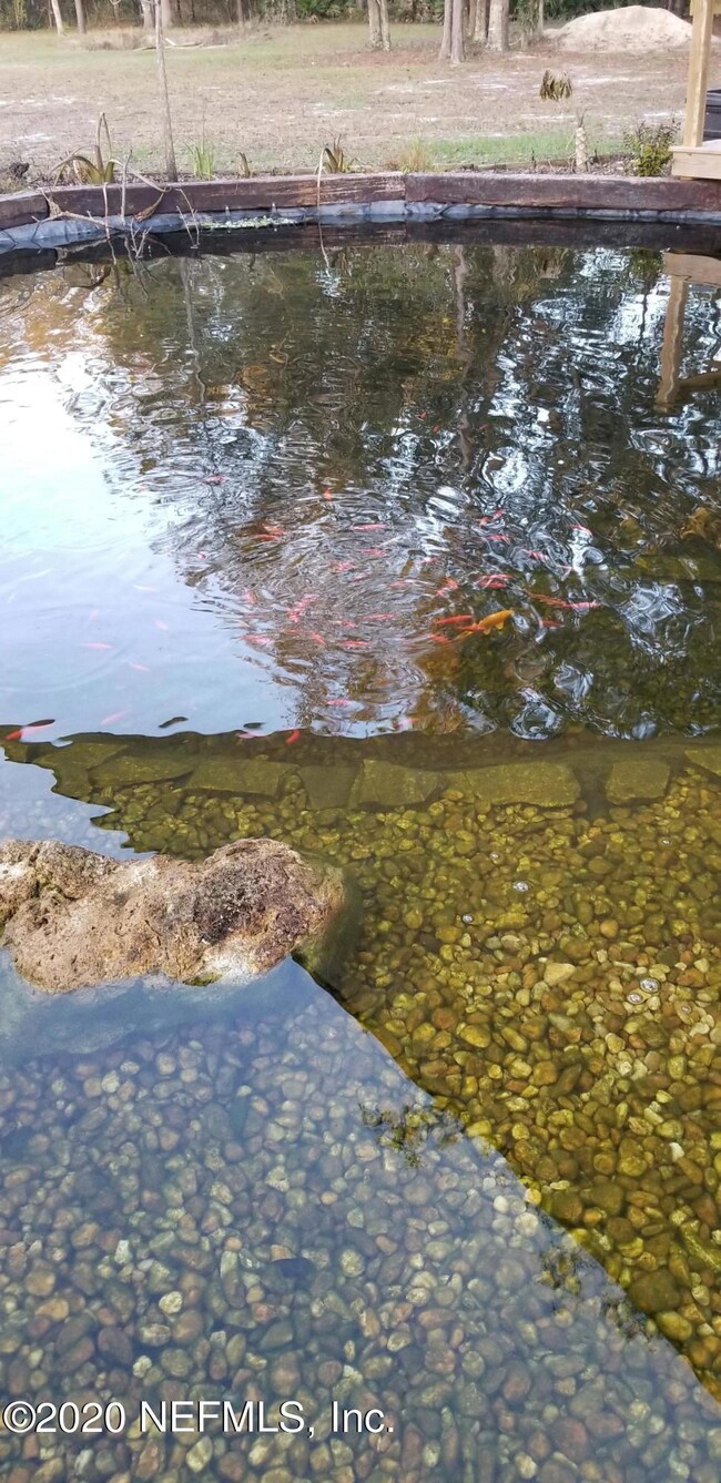 4025 Dowling Rd, Middleburg, FL 32068 - photo 6