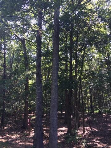 4366 Whitetail Ln unit 9, Midland, NC 28107 - photo 3