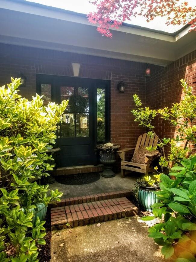 206 Timber Ln, Oxford, MS 38655 - photo 5