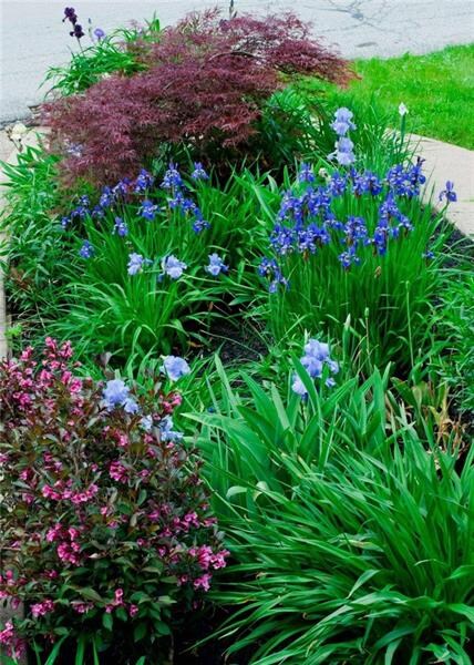 Absolutely Gorgeous Landscaping - Spring is Coming