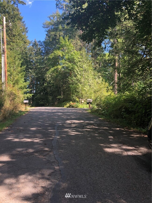 0 163rd Avenue Ct SW, Longbranch, WA 98351 - photo 5