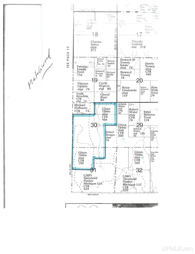 TBD Big Bear Rd, Ewen, MI 49925 - photo 4