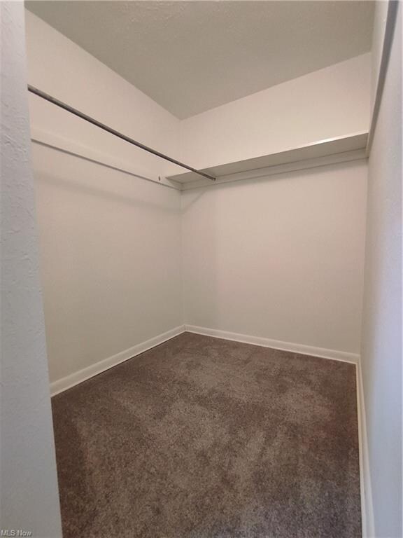Master Closet
