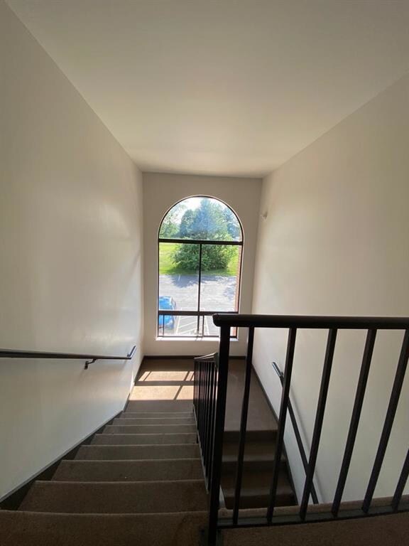 916 Cold Spring Rd unit 12, Allentown, PA 18103 - photo 4