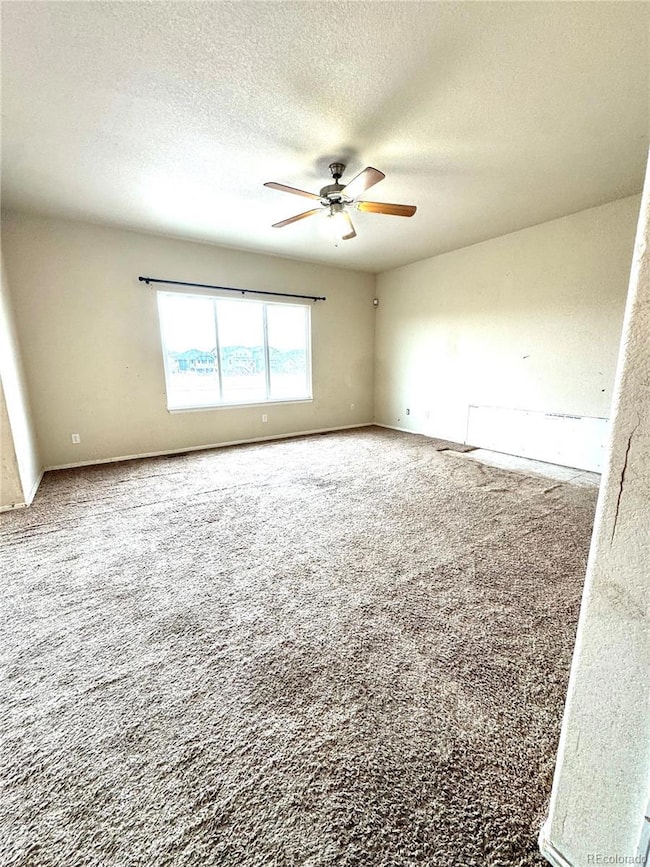 13122 Devil's Thumb Place, Peyton, CO 80831 - photo 4