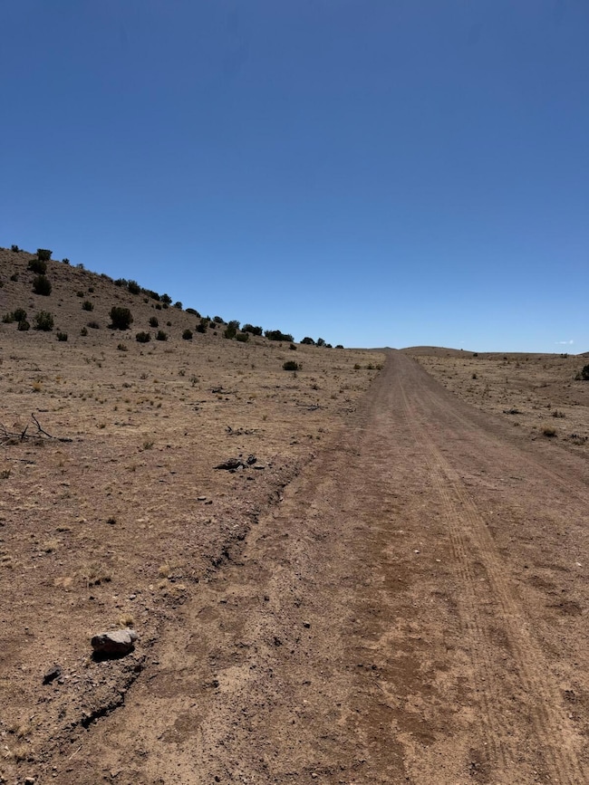 Lot 18 Willow Springs Ranch, San Antonio, NM 87832 - photo 4