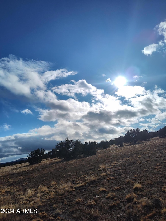 000000 Bullock Rd unit 53, Ash Fork, AZ 86320 - photo 5