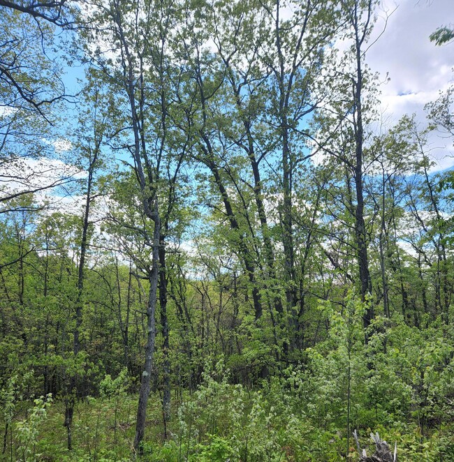 9577 N Woodbridge Dr Ave, Bitely, MI 49309 - photo 7