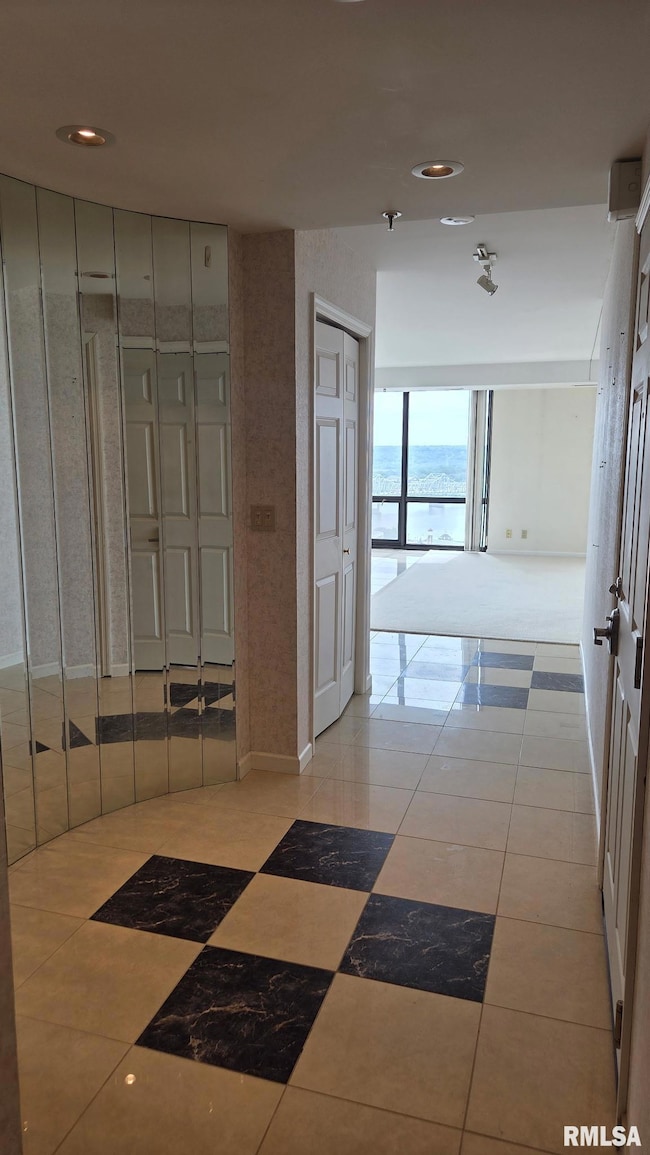 125 SW Jefferson Ave unit W20NE(B), Peoria, IL 61602 - photo 2