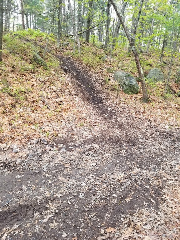 15 Forest St, Derry, NH 03038 - photo 7