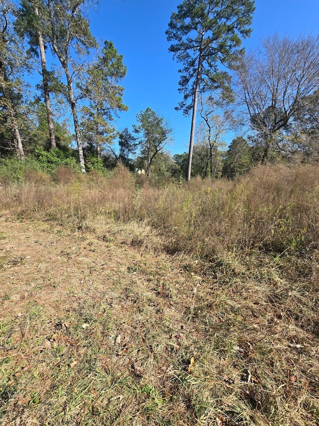 10287 Wanda Ln, Montgomery, TX 77316 - photo 5