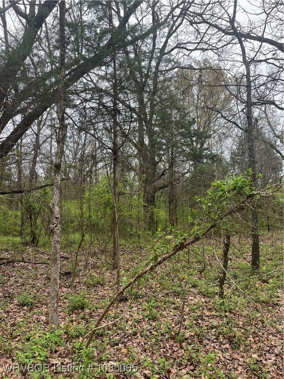 TBD S 4622 Rd, Sallisaw, OK 74955 - photo 7