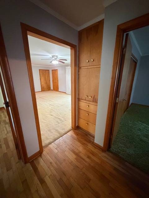 1102 Maple St, Tarkio, MO 64491 - photo 5