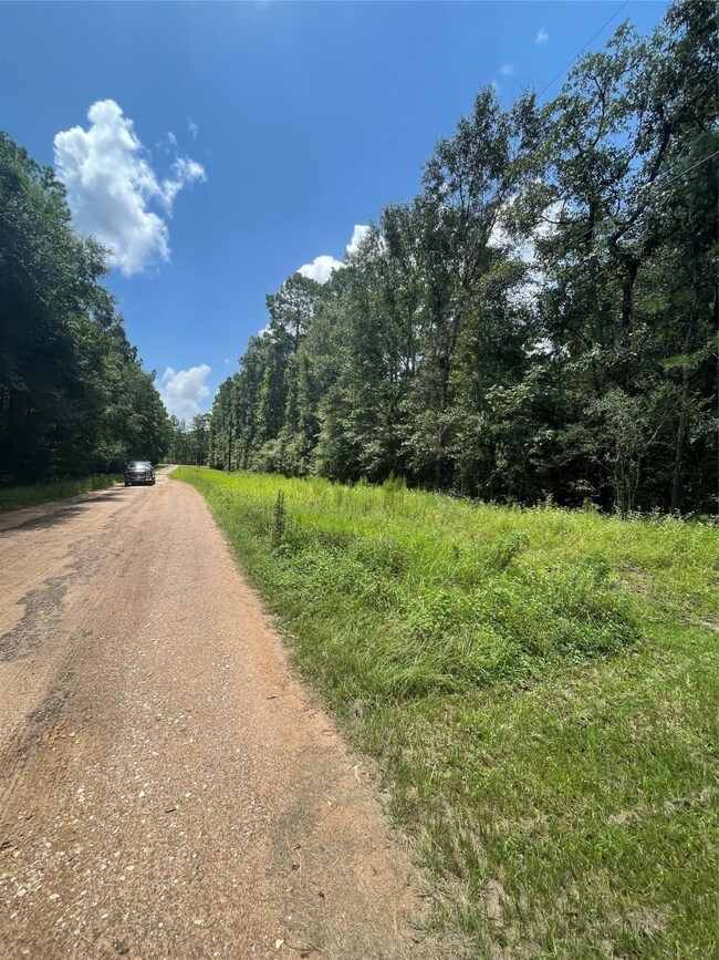 0 Bentley unit 41350372, Hockley, TX 77447 - photo 5