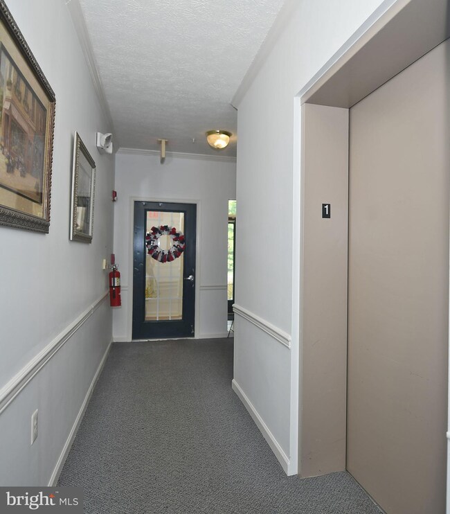 313 Willrich Cir, Forest Hill, MD 21050 - photo 5