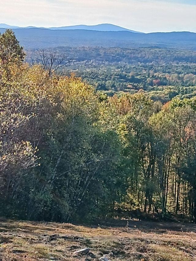 000 Thistle Rd unit 48, Gilmanton, NH 03237 - photo 5