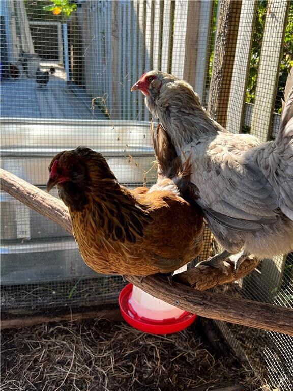 15201 Jackson Rd, Delray Beach, FL 33484 - photo 2