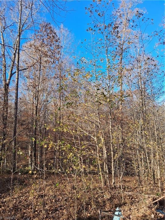 6819 Long Meadow Dr, Whitsett, NC 27377 - photo 4