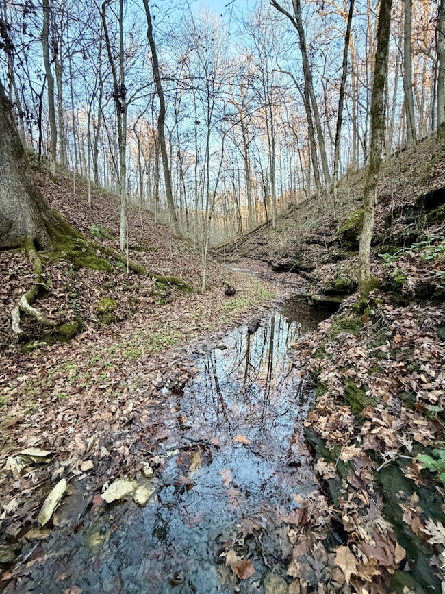 1 Amber Dr, Ashland City, TN 37015 - photo 7