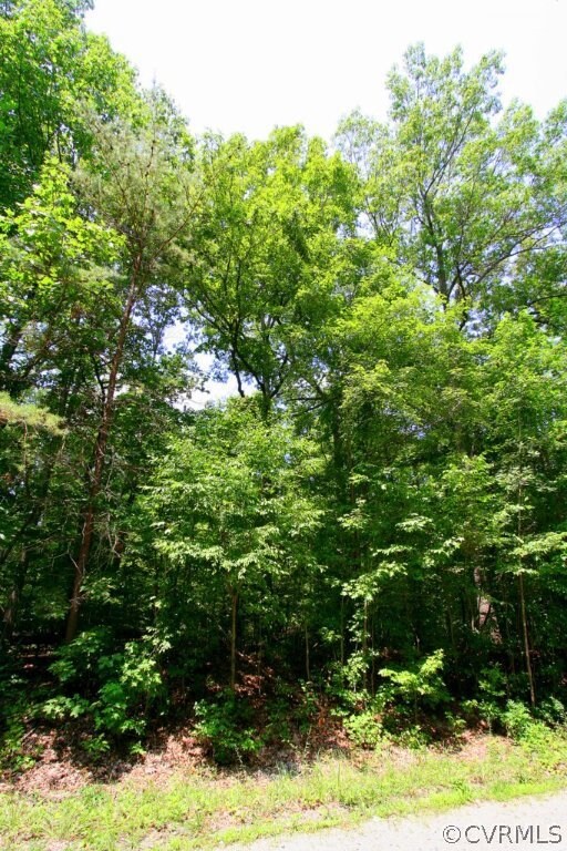 This 5.59 Acre wooded parcel is located in a quiet neighborhood in Beaverdam, just off Tyler Station Rd.
