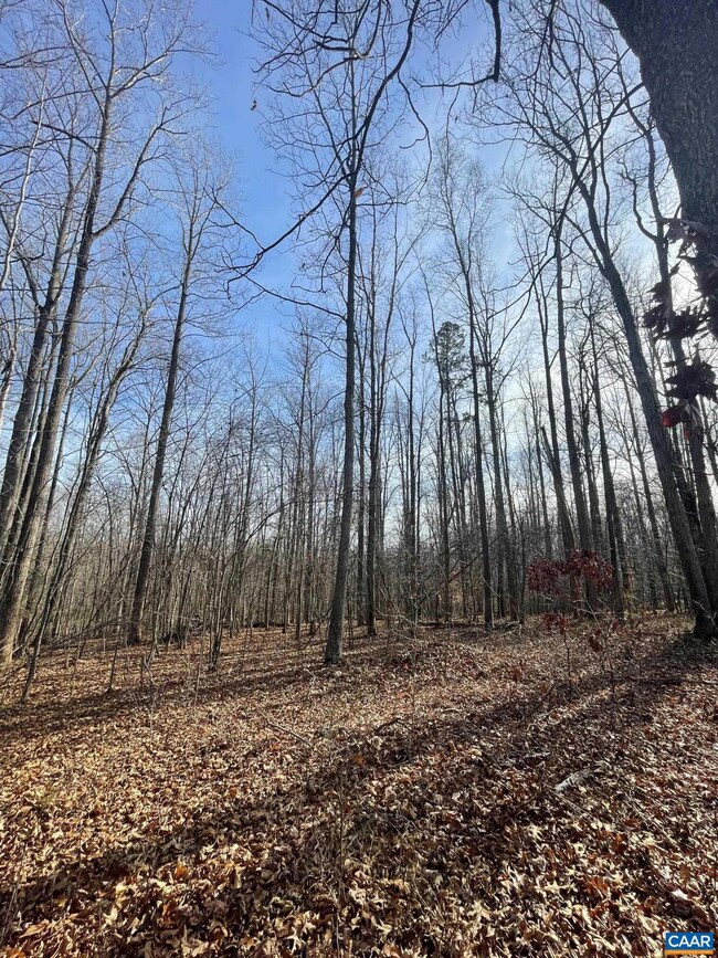 TBD Sage Ct, Fray 'S Grant, VA 22936 - photo 5