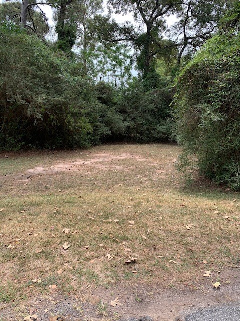 -0- Lark Ln, Holly Springs, TX 77447 - photo 2