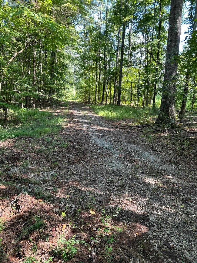 0 Fears Rd unit 69810, Madison, GA 30650 - photo 5