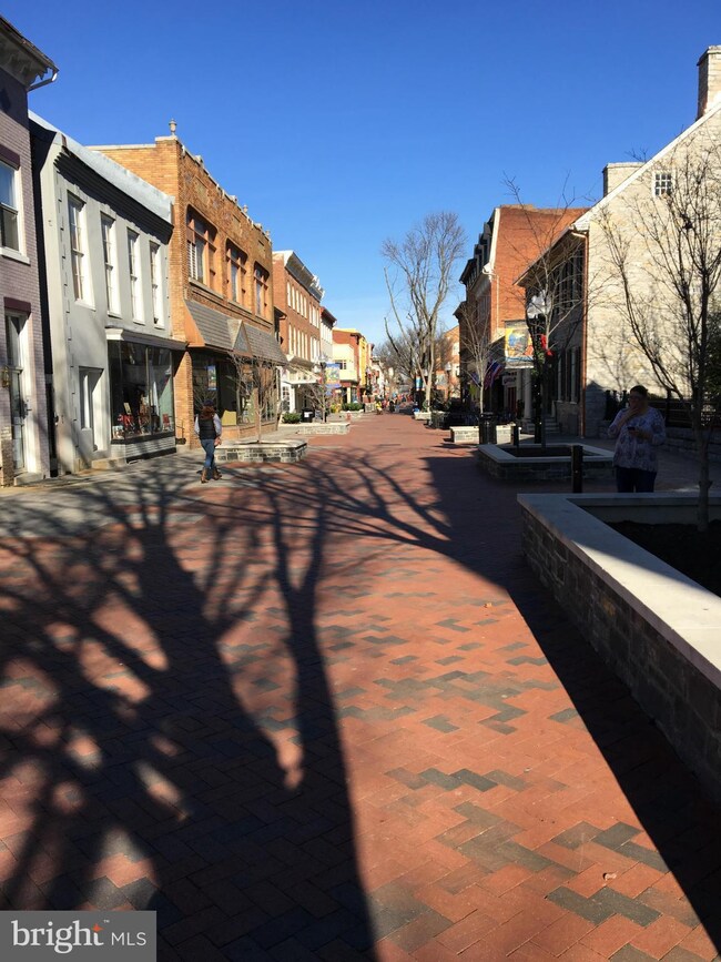 44 N Loudoun St unit 12, Winchester, VA 22601 - photo 3