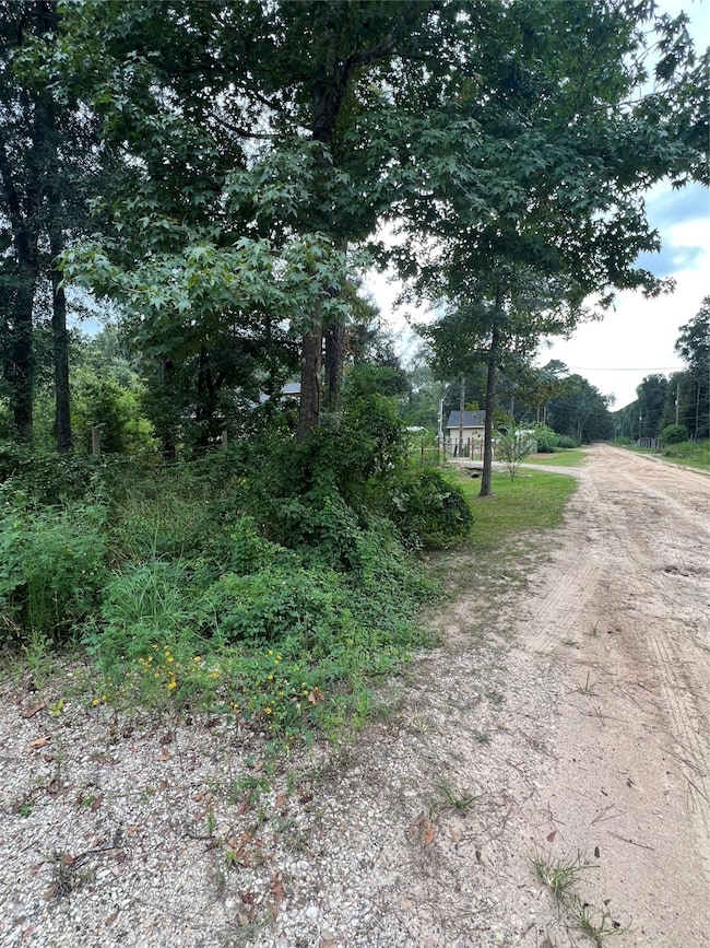 25688 York, New Caney, TX 77357 - photo 3