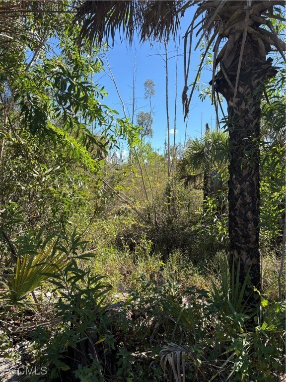 0 Le Buff Rd unit 2025012672, Naples, FL 34114 - photo 3