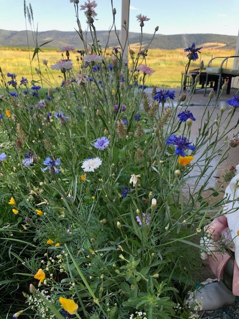 62155 Horizon Ln, Saint Ignatius, MT 59865 - photo 5