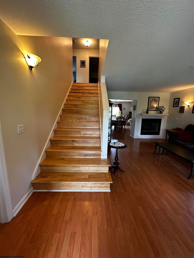 177 Mikayla St, Reedsville, WV 26547 - photo 5